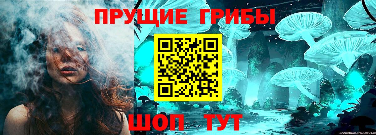 Псилоцибиновые грибы GOLDEN TEACHER Тавда