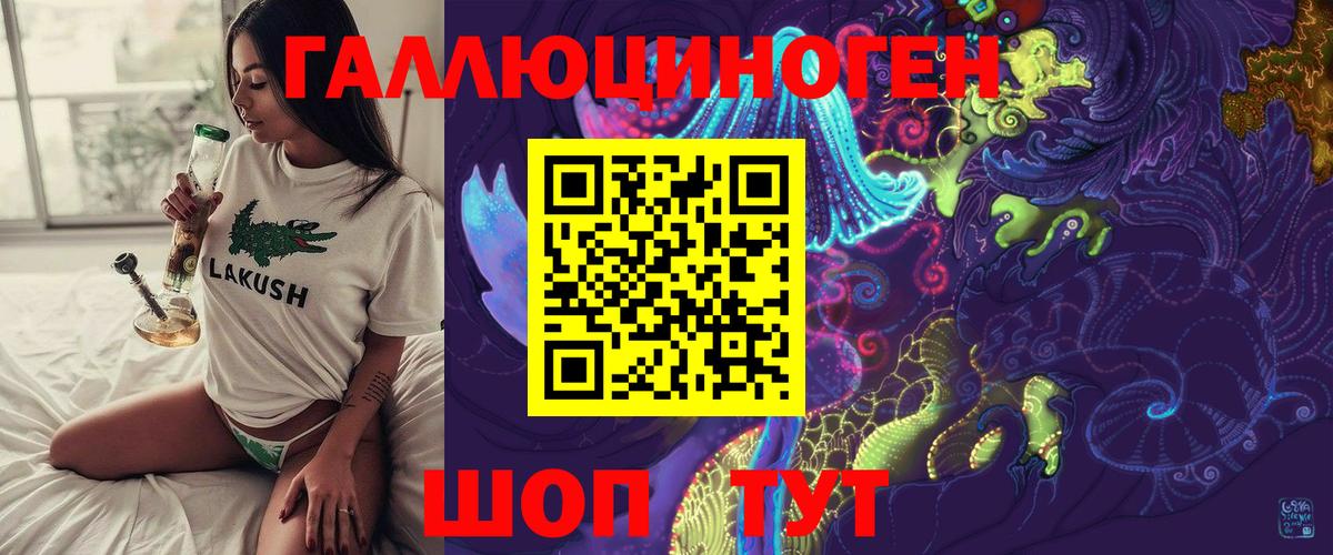 Тавда  Псилоцибиновые грибы MAGIC MUSHROOMS  Вход с VPN 